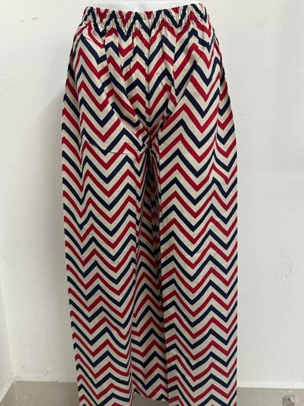 BLUE AND RED LINE PANT-STP20