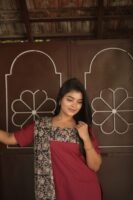 PLAIN RED WITH KALAMKARI-BST92