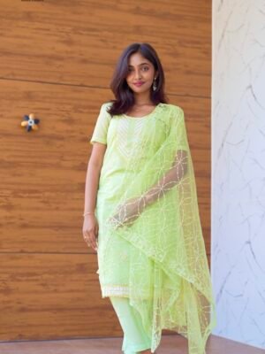 An elegant Chanderi suit with beautiful embroidered duppatta suitable for all occasions - BST95